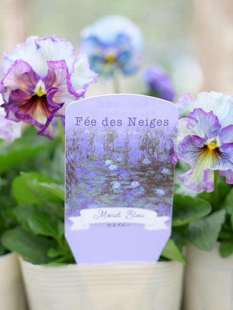 グリーンファームオンラインショップ｜地域に花と緑を届けます