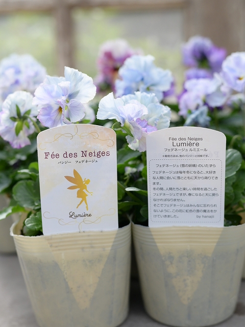 グリーンファームオンラインショップ｜地域に花と緑を届けます