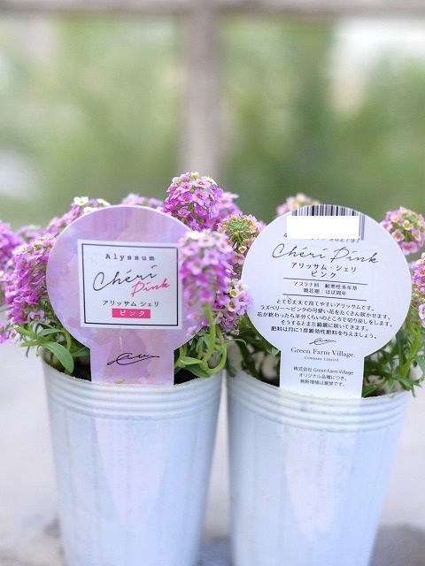 グリーンファームオンラインショップ｜地域に花と緑を届けます